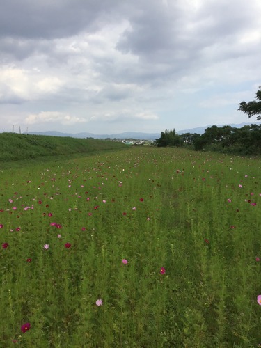 BBB2CEC2-9C21-40F2-9399-EF619534D0DA.jpeg